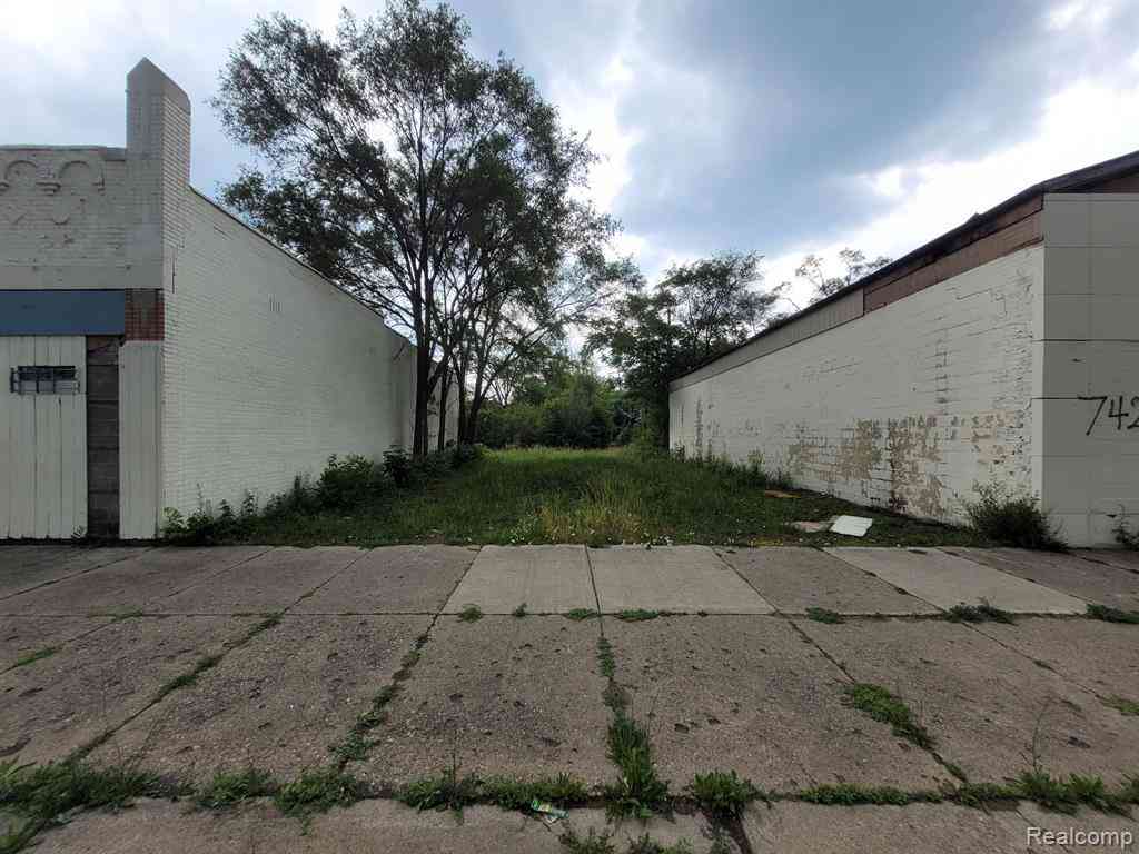 Vacant Land For Sale - 7419 Puritan Street <br/> Detroit, MI 48238