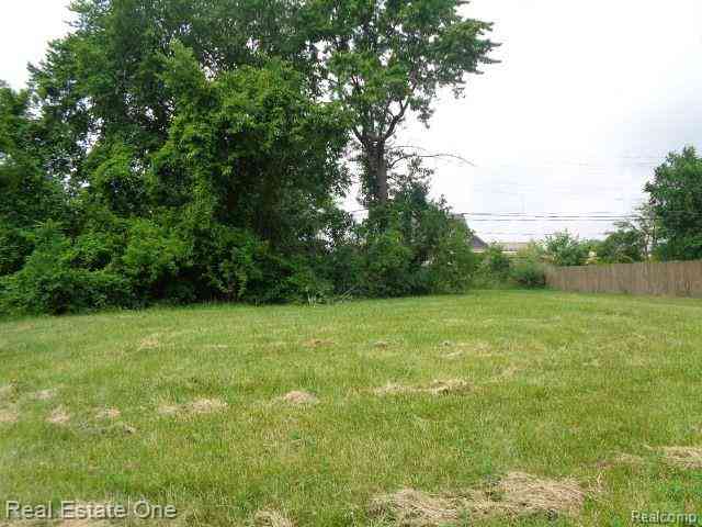 Vacant Land For Sale - 3301 Vinewood Street <br/> Detroit, MI 48208