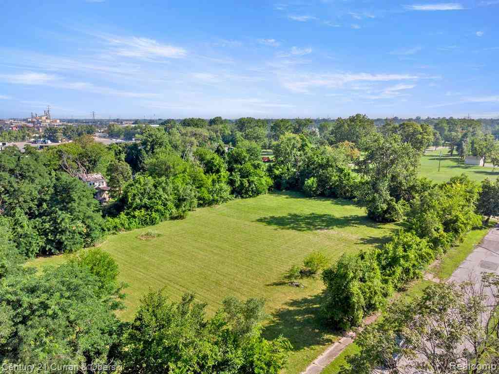 Vacant Land For Sale - 530 S Colonial Street <br/> Detroit, MI 48217