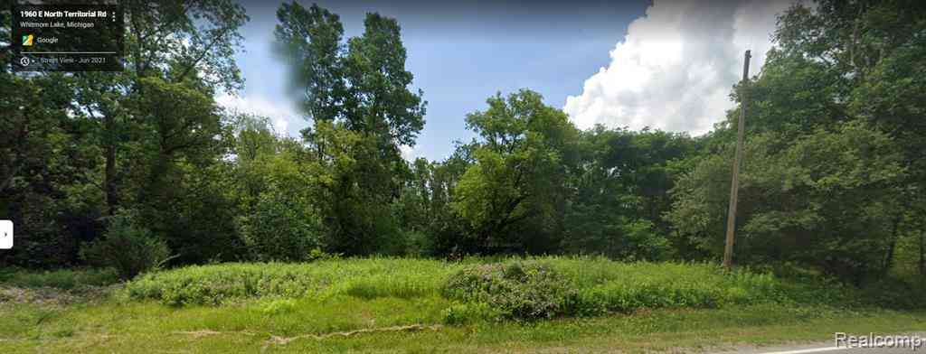 Vacant Land For Sale - 1960 E North Territorial Road <br/> Whitmore Lake, MI 48189