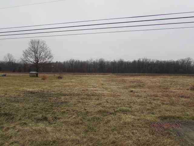 Vacant Land For Sale - TBD E Pickard Road <br/> Isabella County, Mt. Pleasant, MI 48858