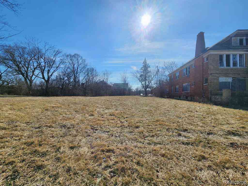 Vacant Land For Sale - 623 W Brentwood Street <br/> Highland Park, MI 48203