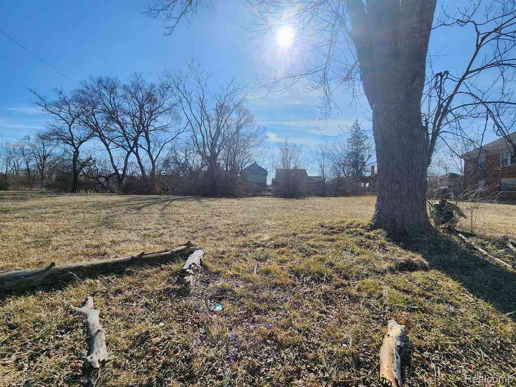 Vacant Land For Sale - 615 W Brentwood Street <br/> Highland Park, MI 48203