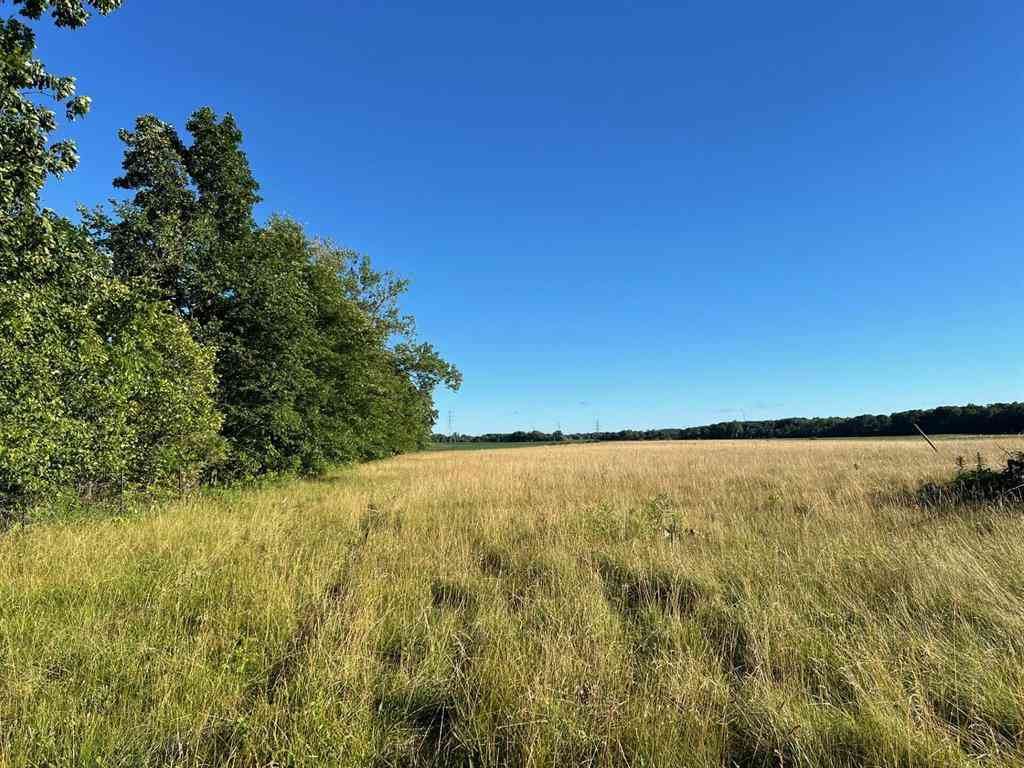 Vacant Land For Sale - 16204 Holden Road <br/> Galien, MI 49113