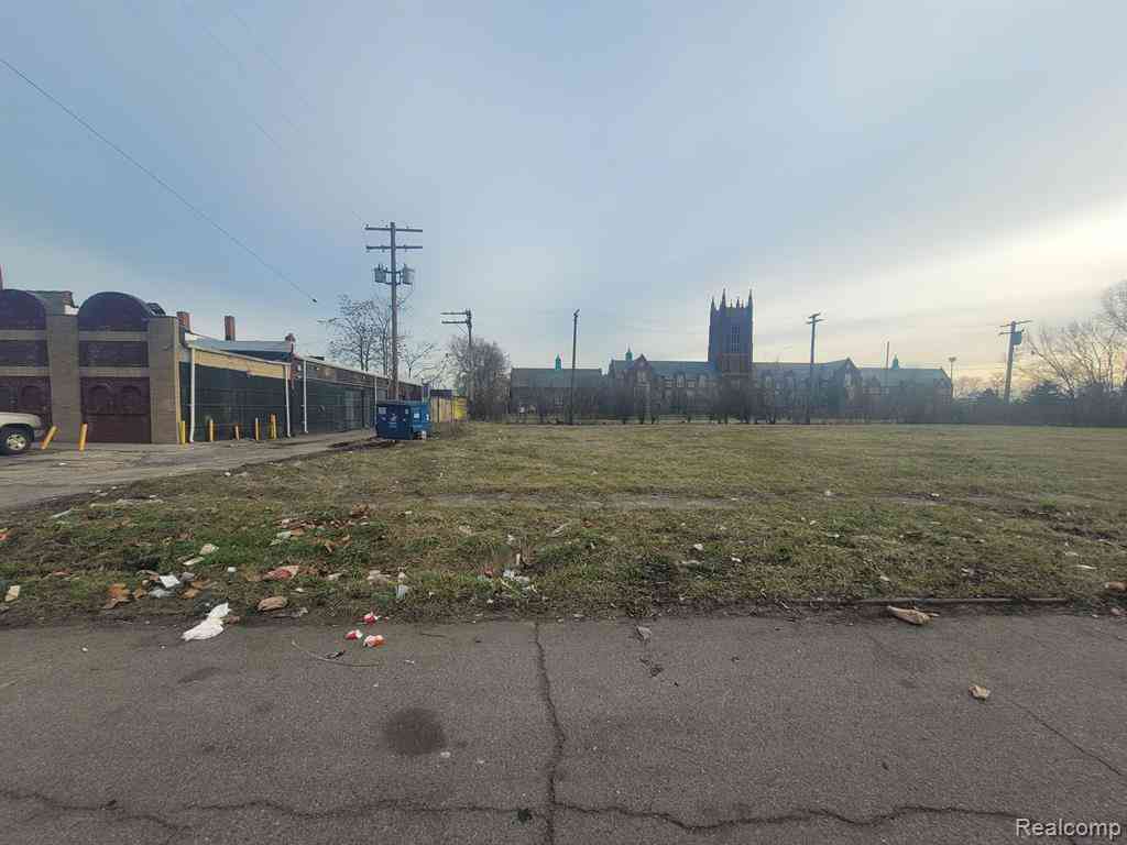 Vacant Land For Sale - 2629 Rochester Street <br/> Detroit, MI 48206
