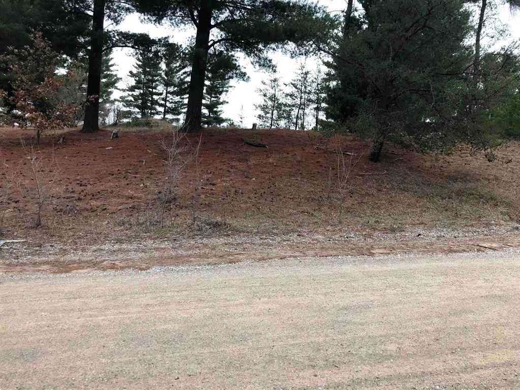 Vacant Land For Sale - 00 Howard Street <br/> Mesick, MI 49668