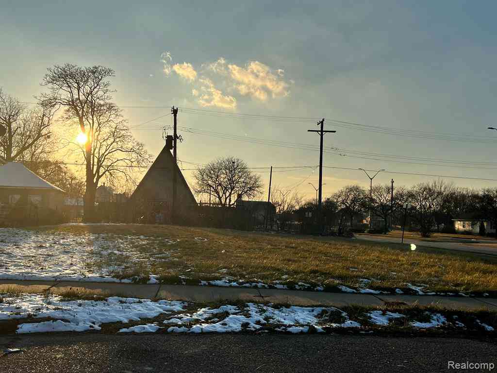 Vacant Land For Sale - 3409 Tillman Street <br/> Detroit, MI 48208