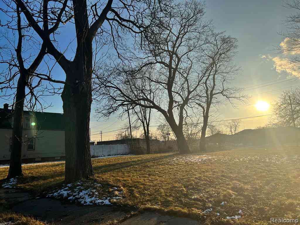 Vacant Land For Sale - 3369 Roosevelt Street <br/> Detroit, MI 48208