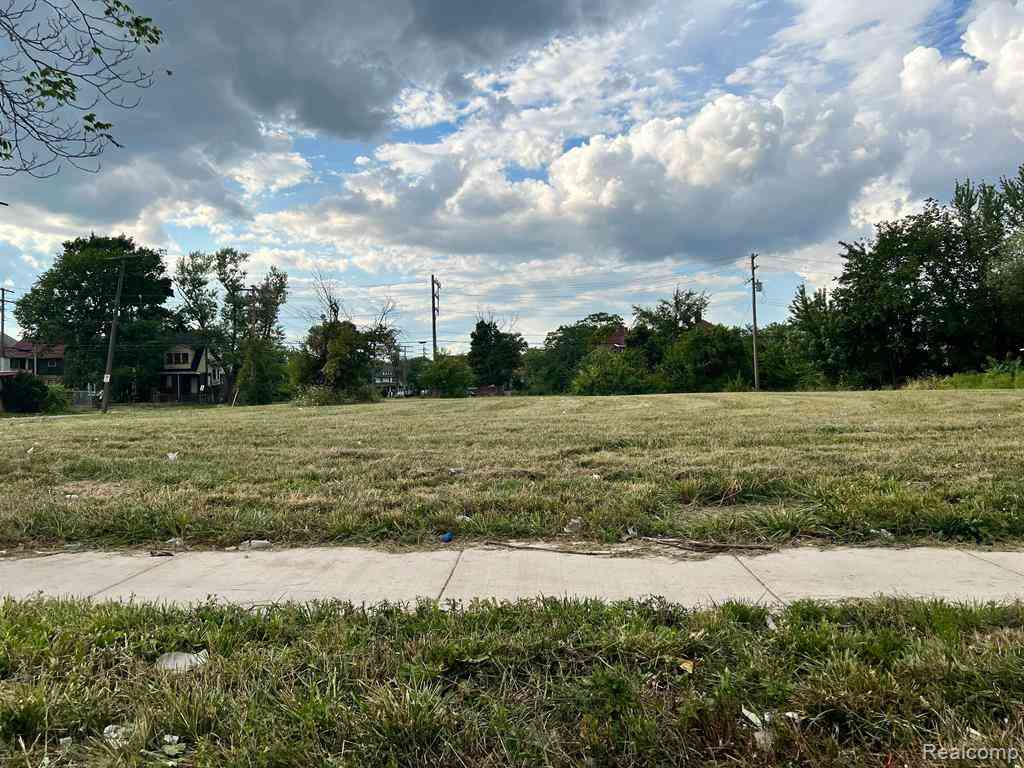 Vacant Land For Sale - 2229 W Grand Boulevard <br/> Detroit, MI 48208