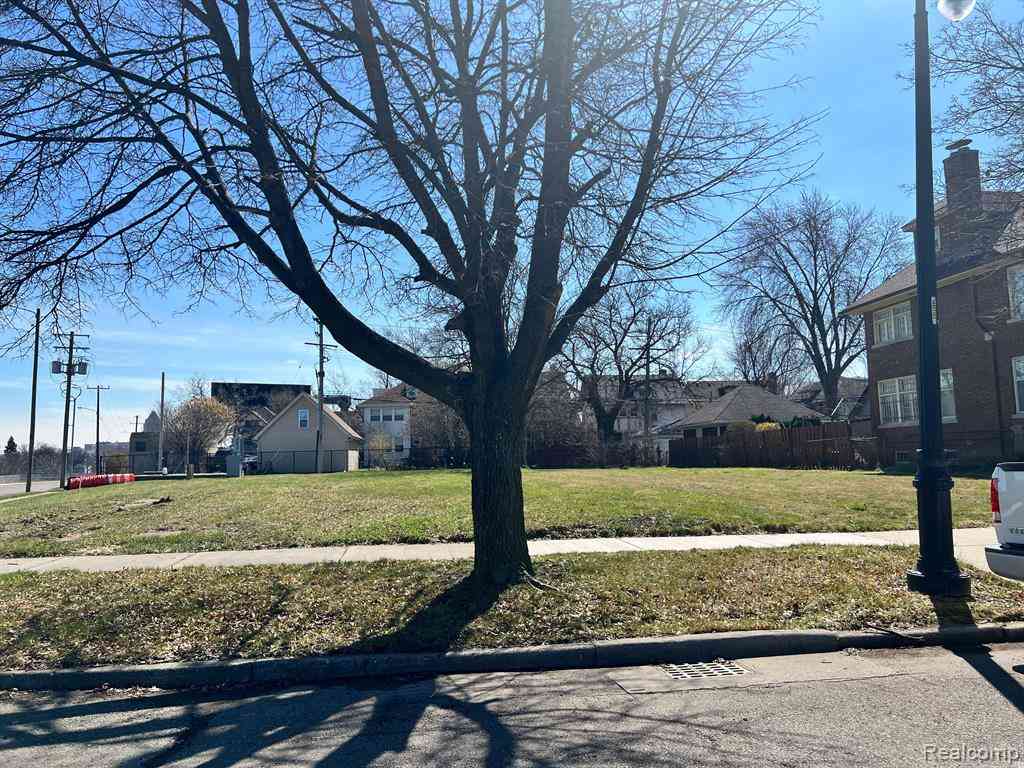 Vacant Land For Sale - 1157 Edison Street <br/> Detroit, MI 48202