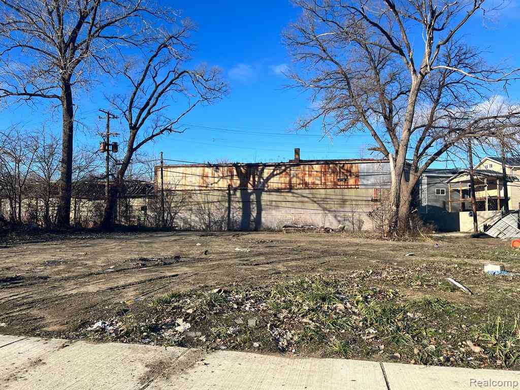Vacant Land For Sale - 8421 Mount Elliott Street <br/> Detroit, MI 48211