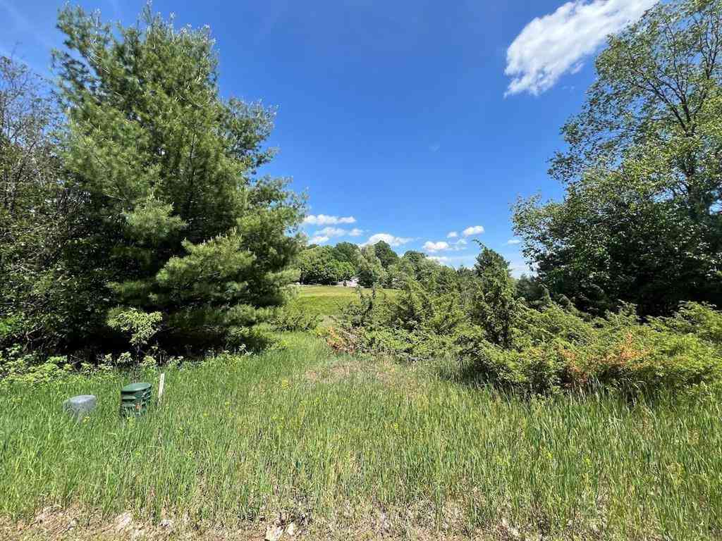 Vacant Land For Sale - UNIT 41 Talon Trace <br/> Bellaire, MI 49615