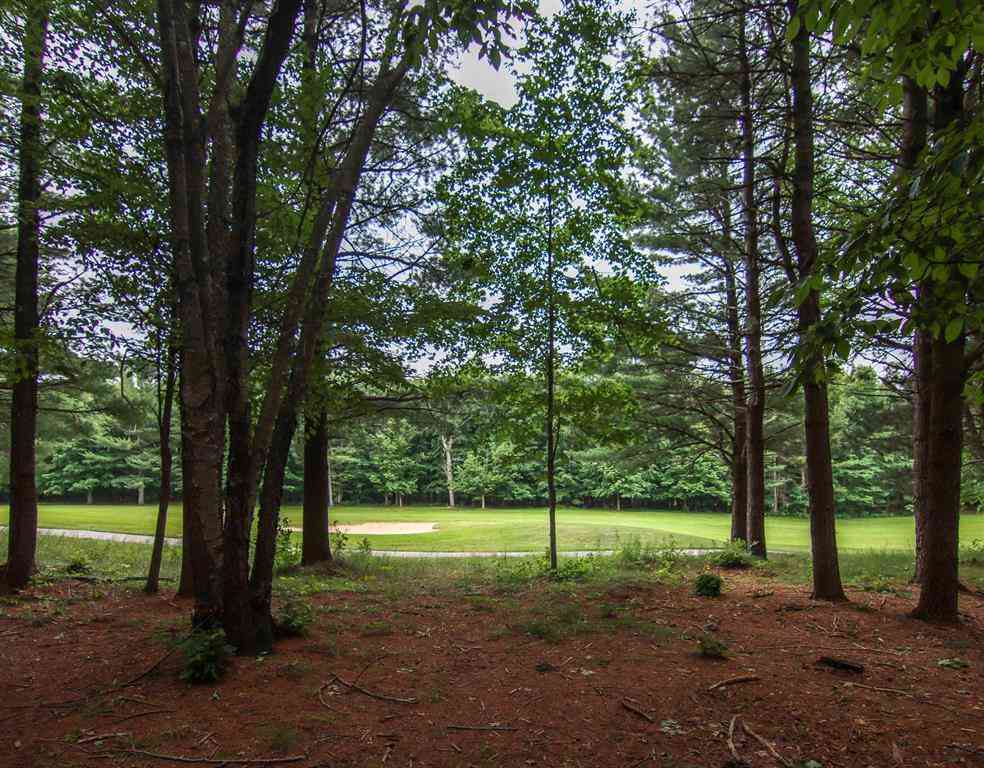 Vacant Land For Sale - 0000-UNIT 40 Trailside Drive <br/> Thompsonville, MI 49683