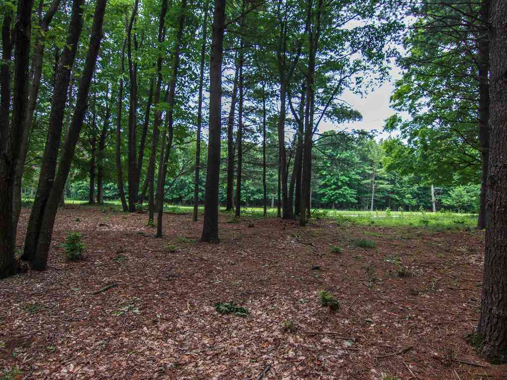 Vacant Land For Sale - 0000-UNIT 41 Trailside Drive <br/> Thompsonville, MI 49683