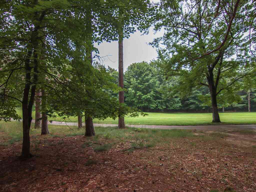 Vacant Land For Sale - 0000-UNIT 42 Trailside Drive <br/> Thompsonville, MI 49683