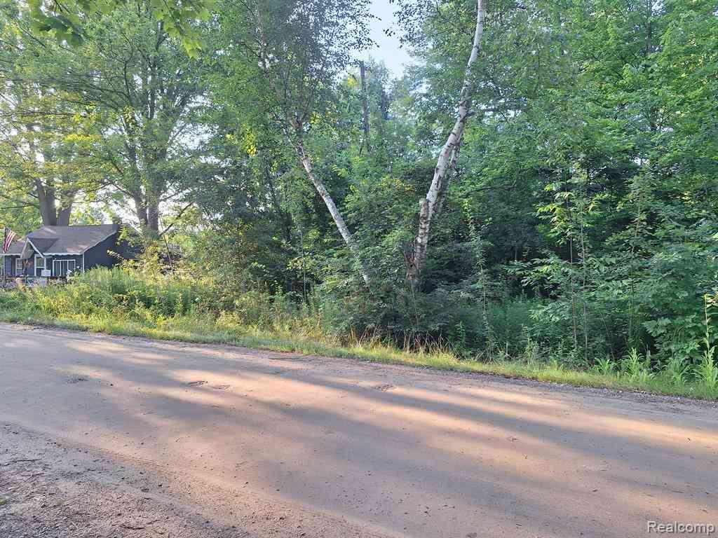Vacant Land For Sale - 000 Birchwood Road <br/> Lexington, MI 48450