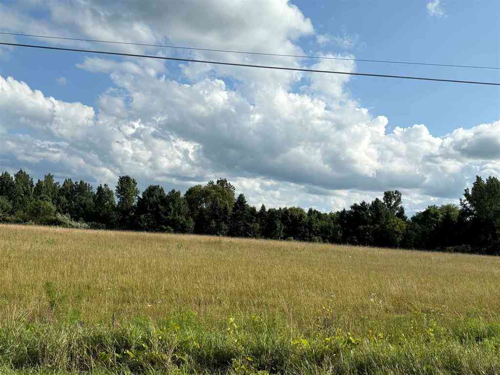 Vacant Land For Sale - TBD Shepherd Road <br/> Mt. Pleasant, MI 48858
