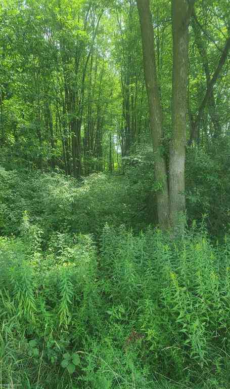 Vacant Land For Sale - 00 Sheridan Road <br/> Saint Clair County, Emmett, MI 48022