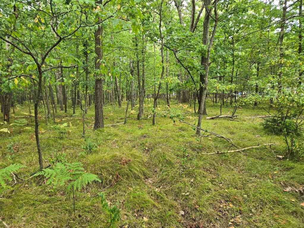 Vacant Land For Sale - 1009 Castle Drive <br/> Lake Isabella, MI 48893