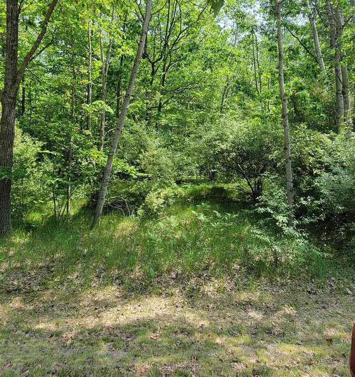 Vacant Land For Sale - 1144 Queensway Drive <br/> Lake Isabella, MI 48893