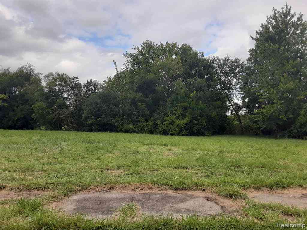 Vacant Land For Sale - 5023 31st Street <br/> Wayne County, Detroit, MI 48210