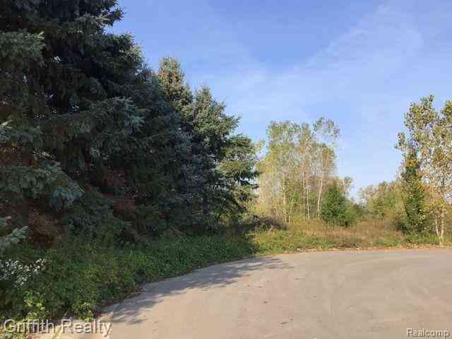 Vacant Land For Sale - 00 Country Corner Drive <br/> Fowlerville, MI 48836