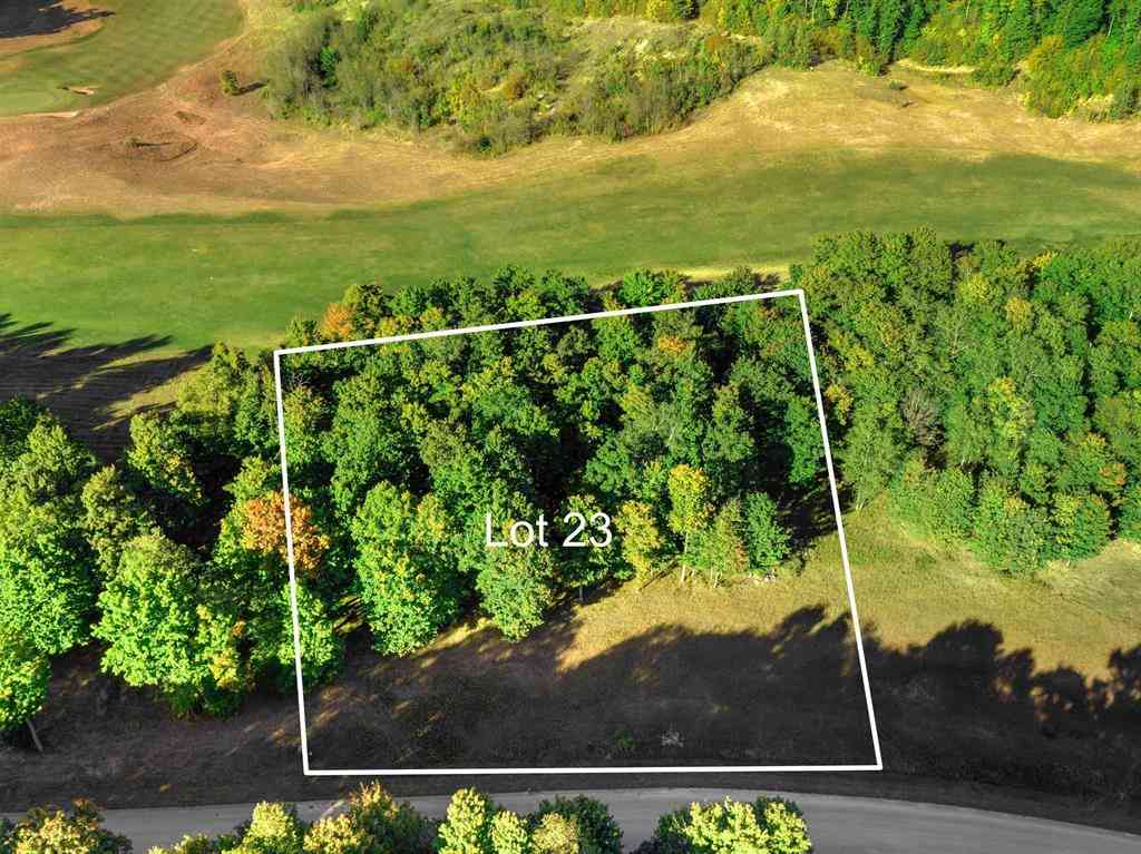 Vacant Land For Sale - 0023 Heather Ridge Trail <br/> Beulah, MI 49617