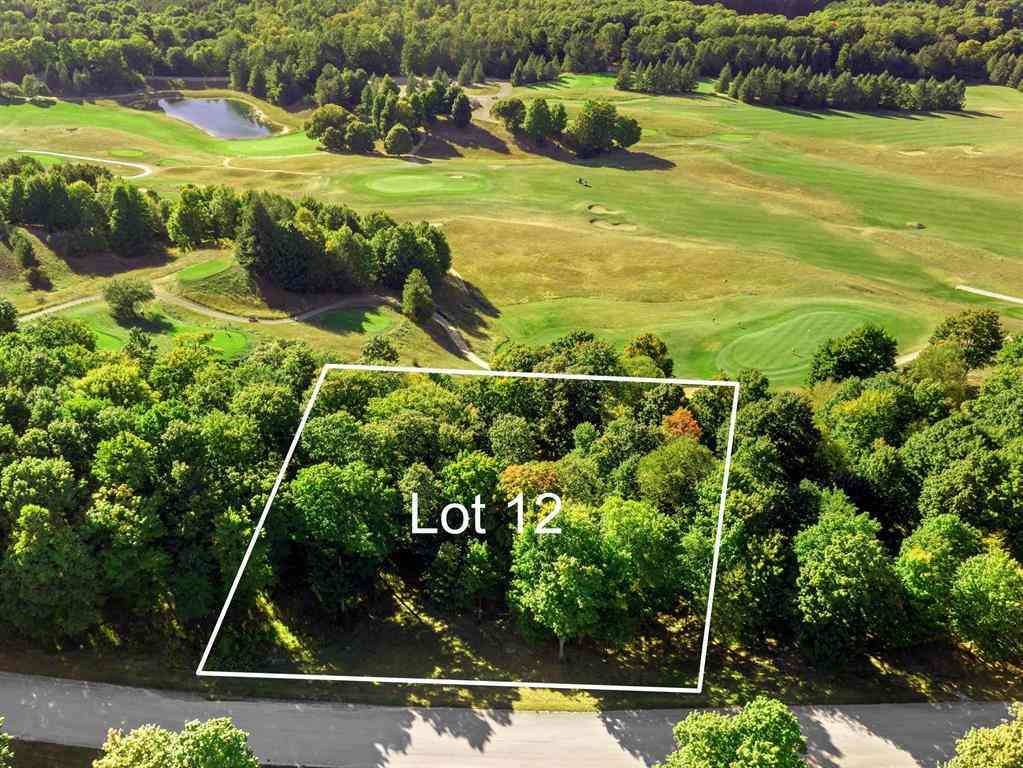 Vacant Land For Sale - 0012 Heather Ridge Trail <br/> Beulah, MI 49617