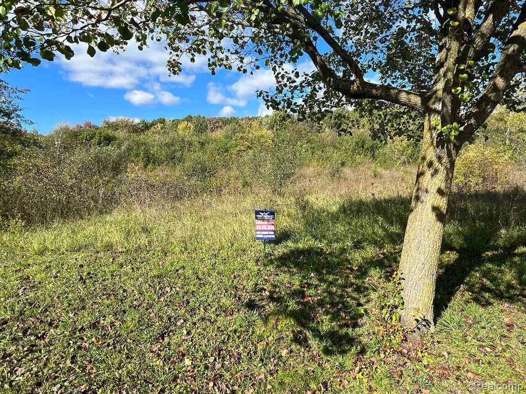 Vacant Land For Sale - 4425 Market  <br/> Flint, MI 48506