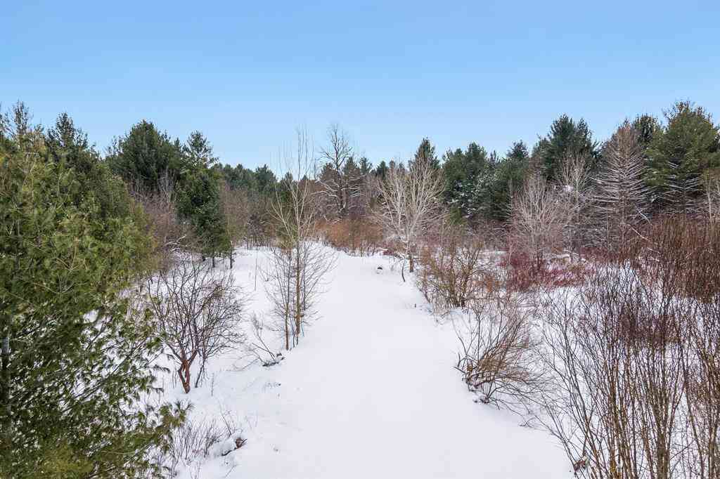 Vacant Land For Sale - 4611 Stover Road <br/> Bellaire, MI 49615