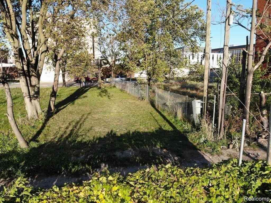 Vacant Land For Sale - 2939 Park Avenue <br/> Detroit, MI 48201