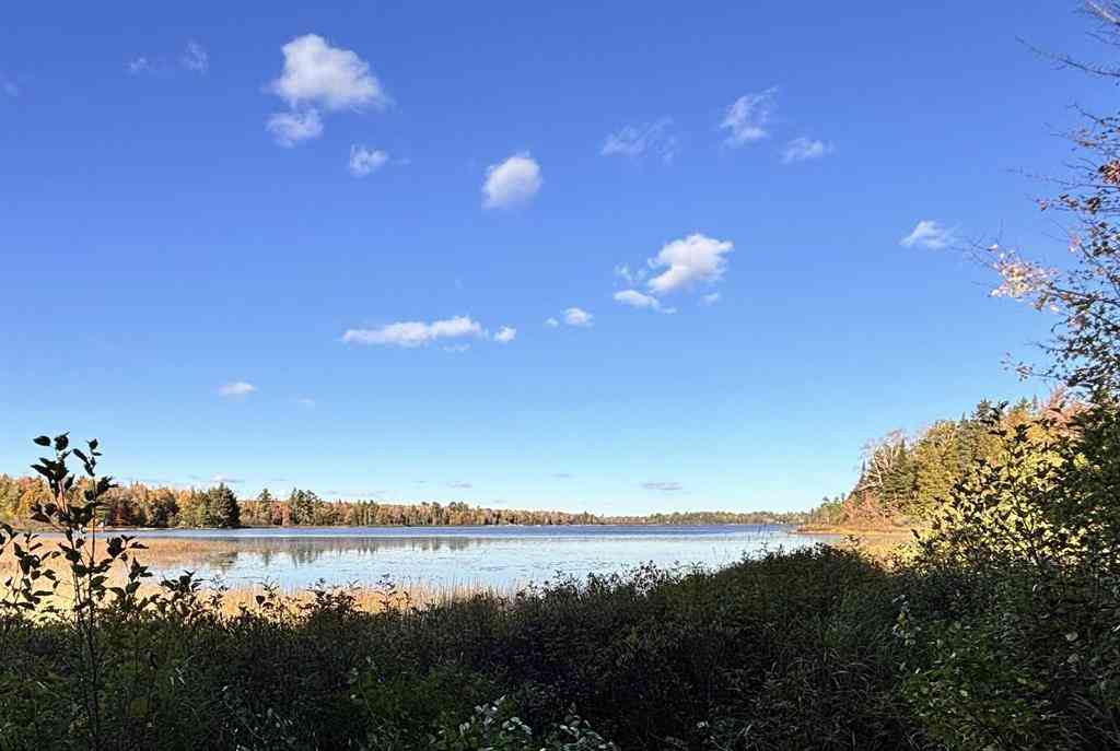 Vacant Land For Sale - TBD Keweenaw Pass Road <br/> Houghton County, Lake Linden, MI 49945