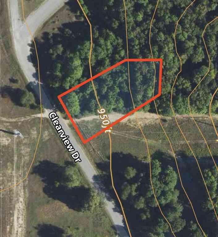 Vacant Land For Sale - LOT 202 Clearview Drive <br/> Bellaire, MI 49615
