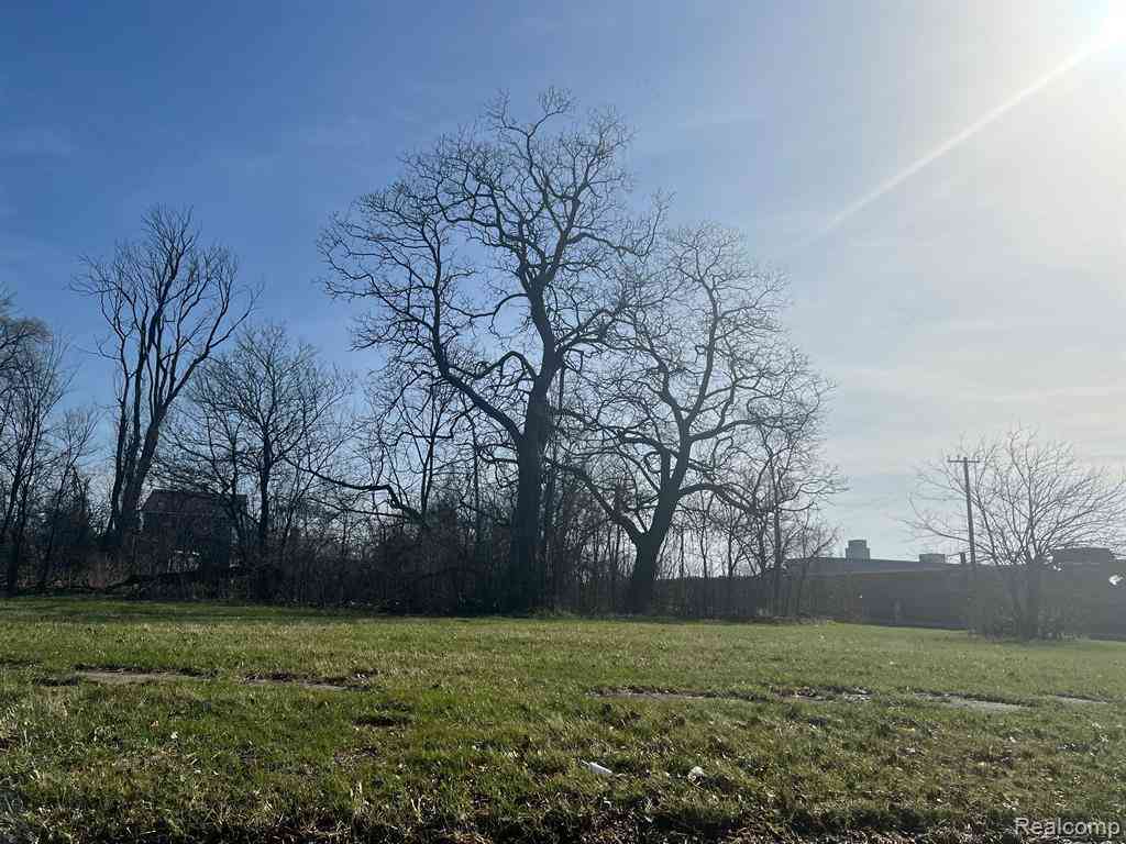 Vacant Land For Sale - 5720 Wabash Street <br/> Detroit, MI 48208