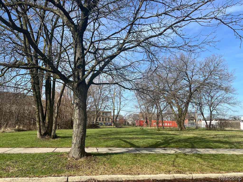 Vacant Land For Sale - 6145 Wabash Street <br/> Detroit, MI 48208