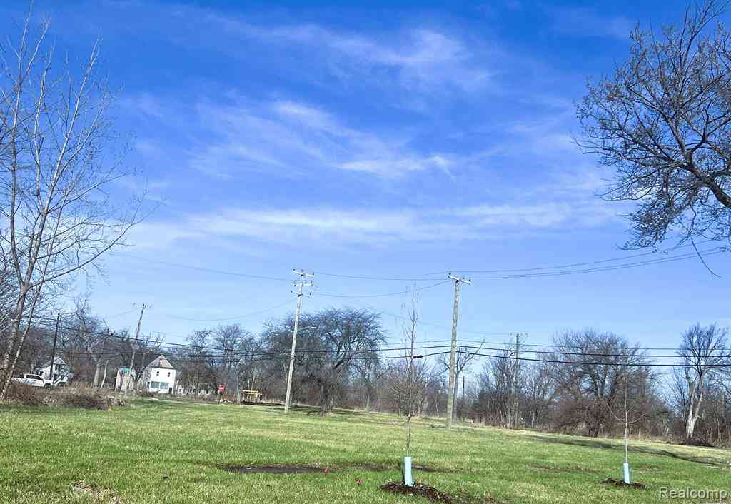 Vacant Land For Sale - 5361 Mitchell Street <br/> Detroit, MI 48211