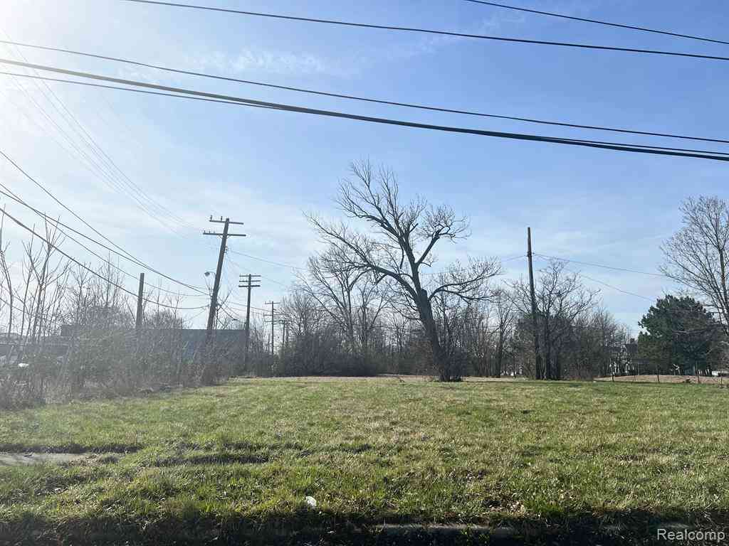 Vacant Land For Sale - 1925 Merrick Street <br/> Detroit, MI 48208