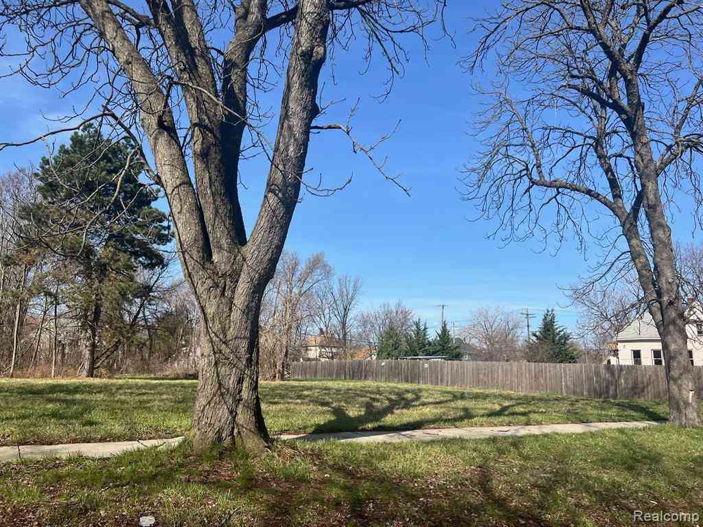 Vacant Land For Sale - 3555 Lovett Street <br/> Detroit, MI 48210