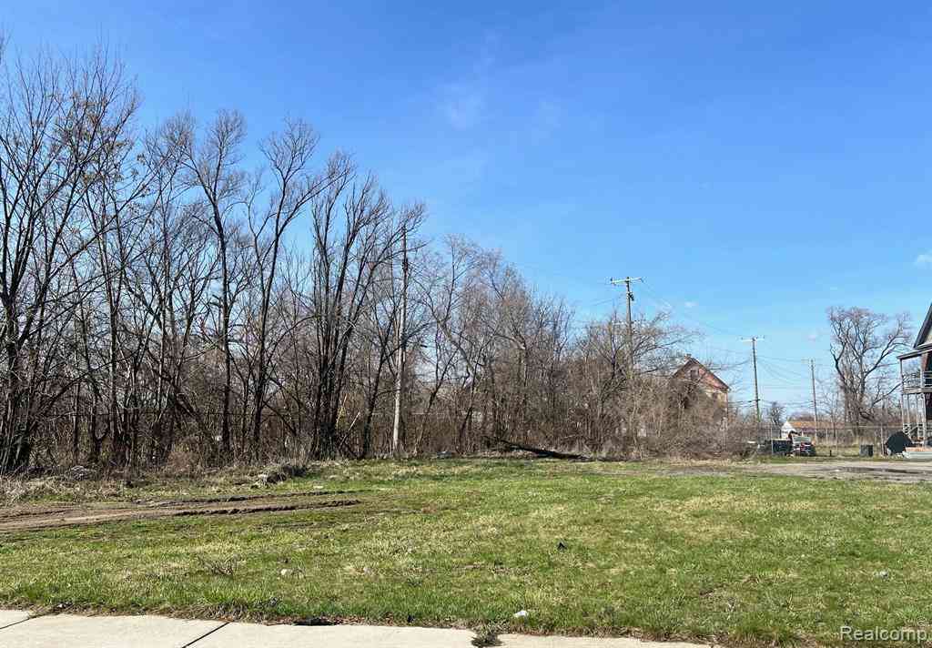 Vacant Land For Sale - 5131 Bangor Street <br/> Detroit, MI 48210