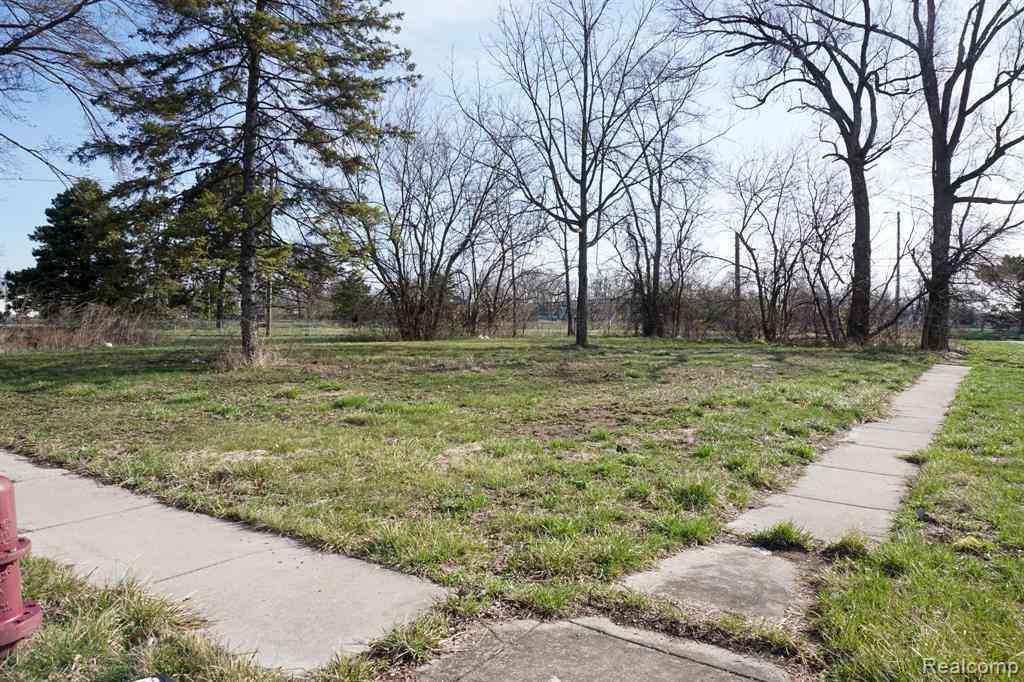 Vacant Land For Sale - 13500 Patton Street <br/> Detroit, MI 48223