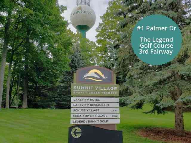 Vacant Land For Sale - 1 Palmer Drive <br/> Bellaire, MI 49615