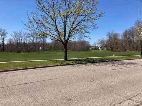 Vacant Land For Sale - 10195 Golfside Drive <br/> Grand Blanc, MI 48439
