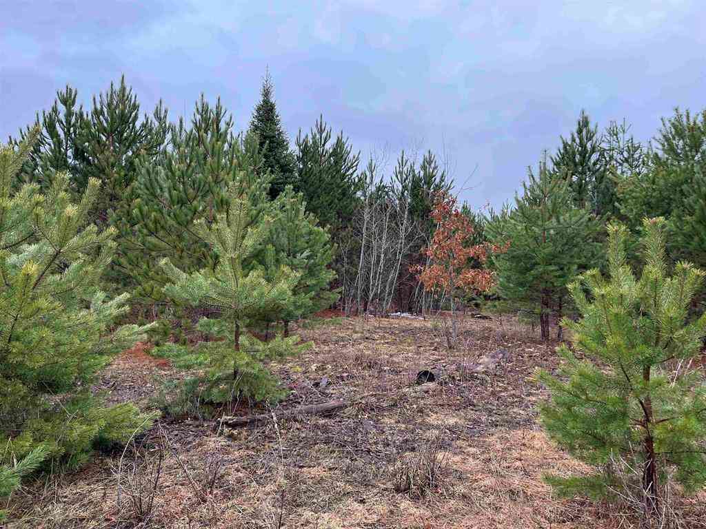 Vacant Land For Sale - 10299 Levi Lane <br/> Kingsley, MI 49649