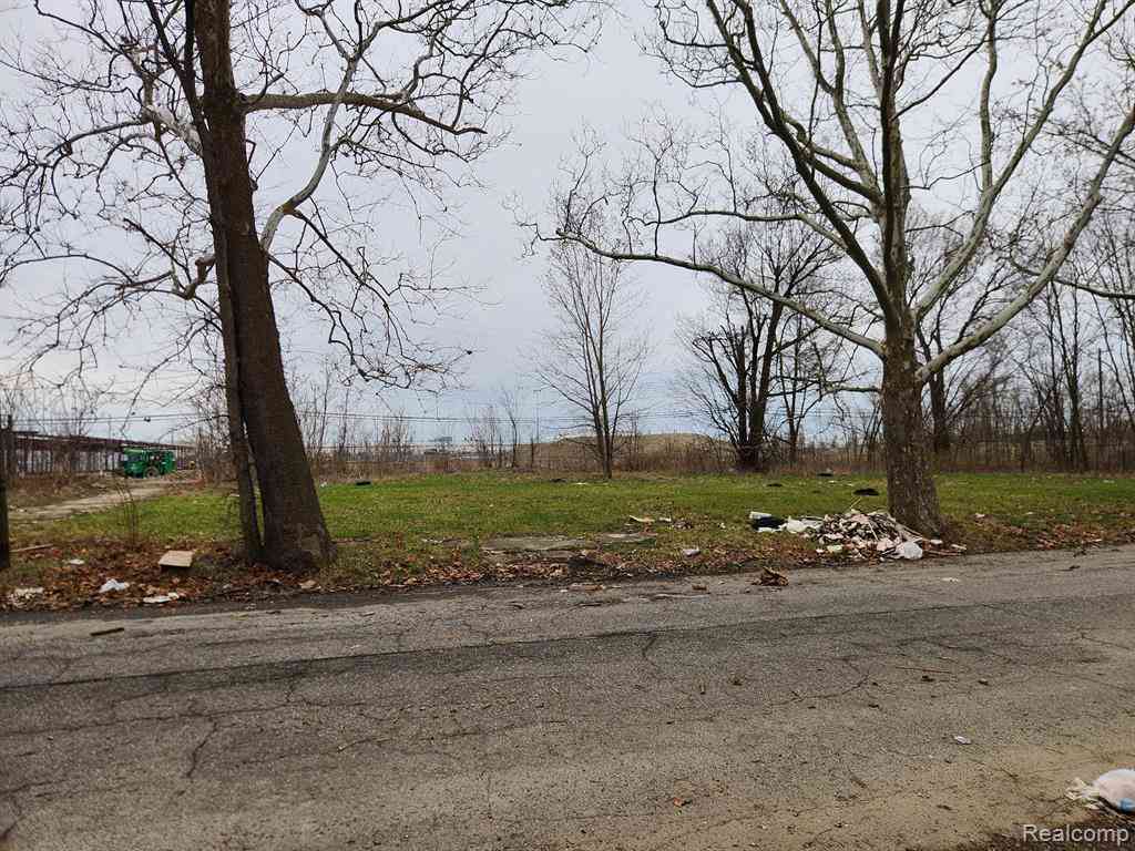 Vacant Land For Sale - 1508 Gray Street <br/> Detroit, MI 48215