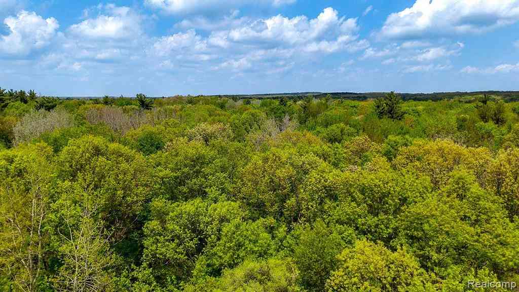 Vacant Land For Sale - Michael Street <br/> Ortonville, MI 48462