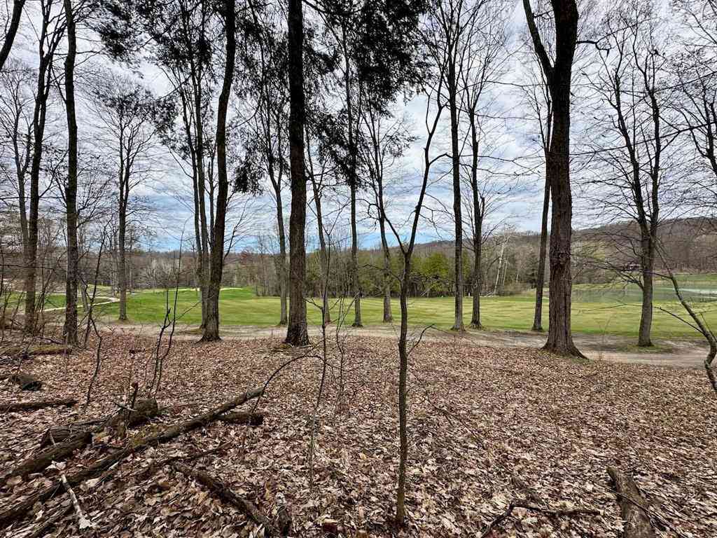 Vacant Land For Sale - UNIT 19 Forest Trail <br/> Bellaire, MI 49615
