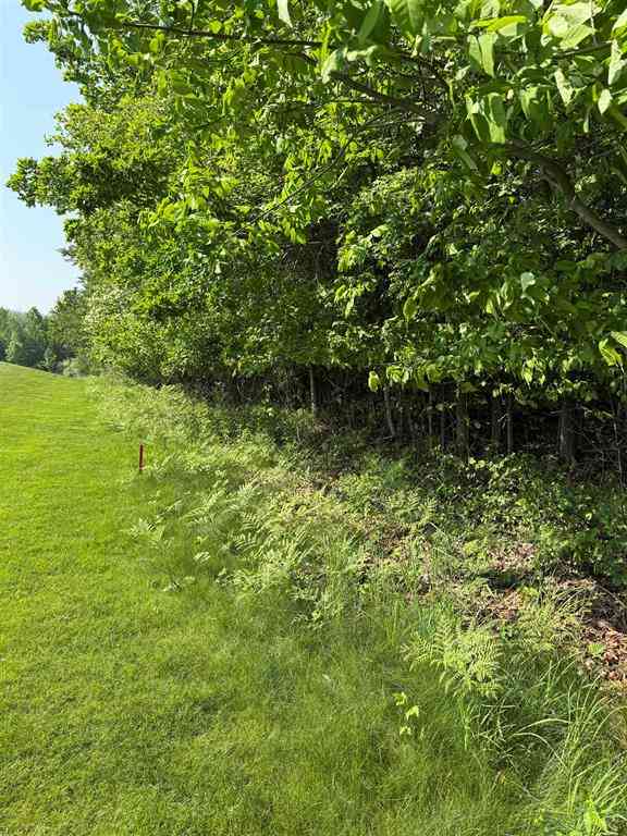 Vacant Land For Sale - 0000 Mooney Way <br/> Kewadin, MI 49648