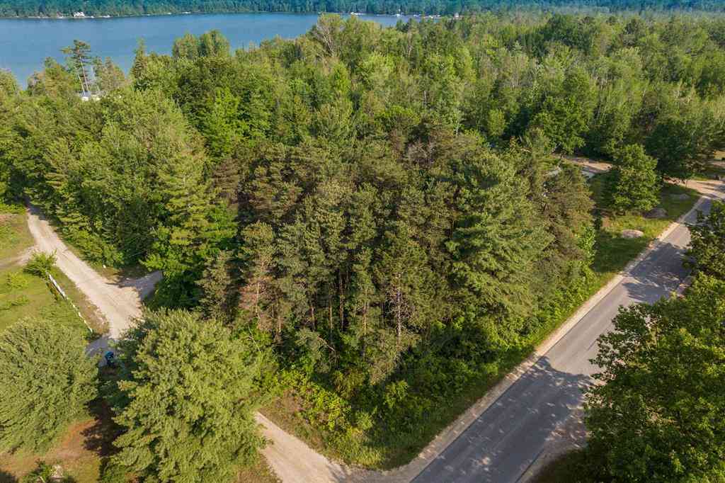 Vacant Land For Sale - Forest Drive <br/> Kewadin, MI 49648