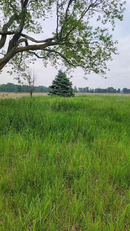 Vacant Land For Sale - 2305 W Juddville Road <br/> Owosso, MI 48867