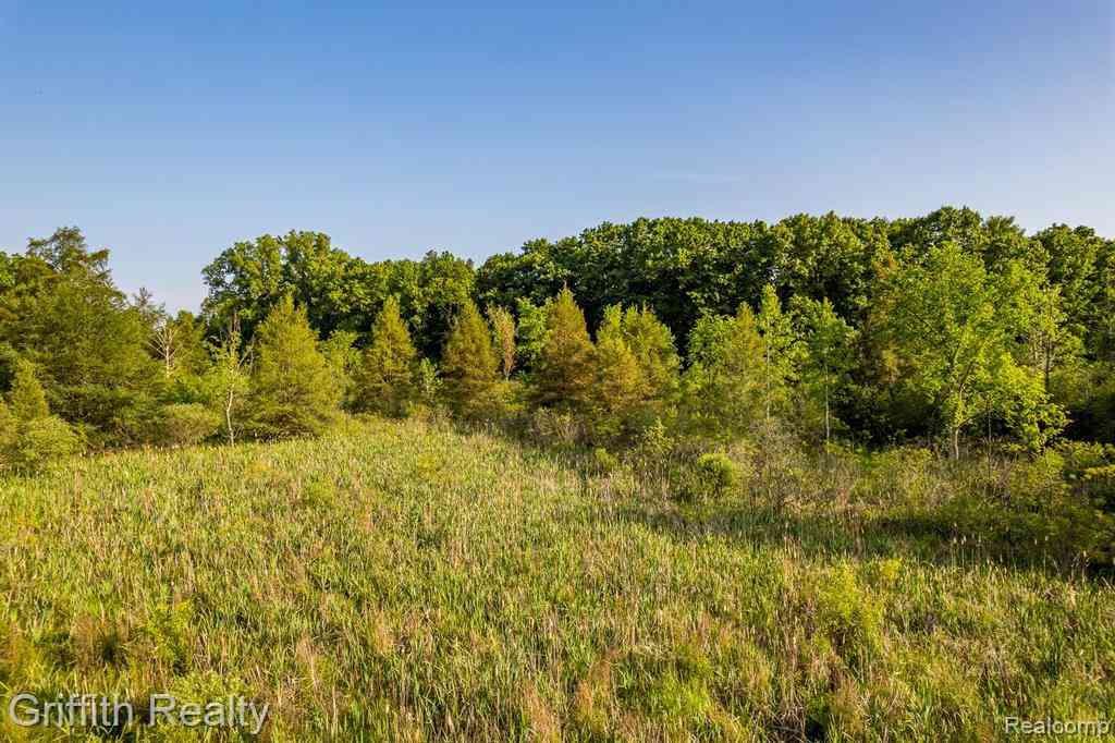 Vacant Land For Sale - 4433 Brighton Parcel B Road <br/> Howell, MI 48843
